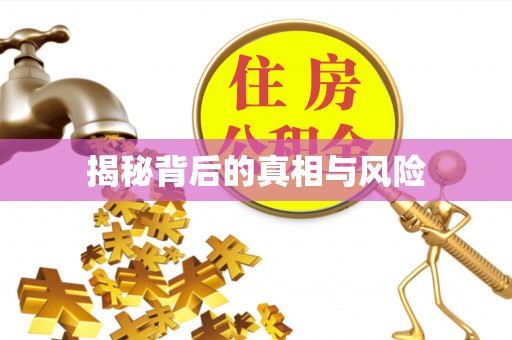西峰揭秘背后的真相与风险
