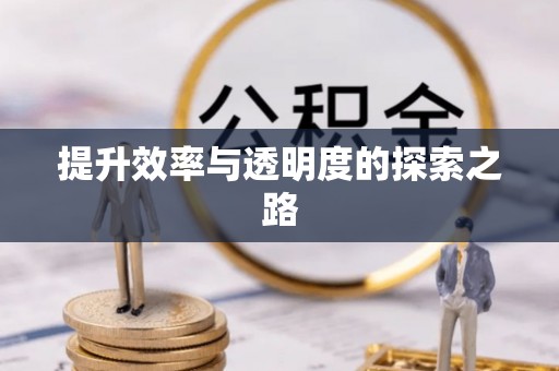 西峰提升效率与透明度的探索之路