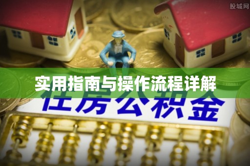 西峰实用指南与操作流程详解