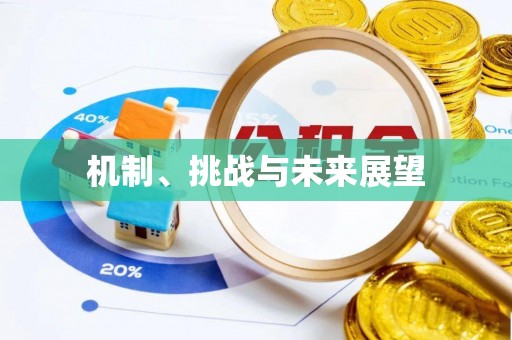 西峰机制、挑战与未来展望