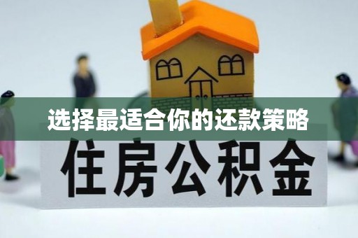 西峰选择最适合你的还款策略