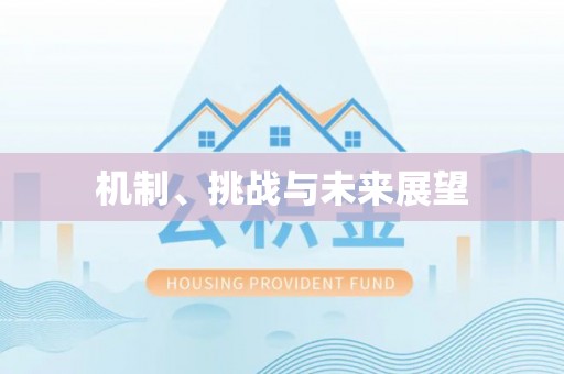 西峰机制、挑战与未来展望